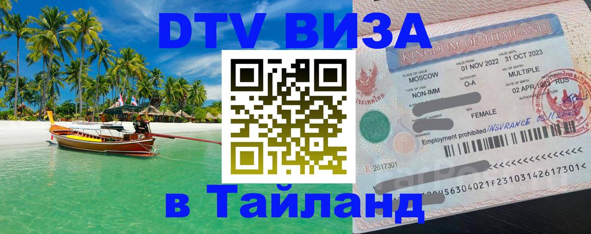 Оформление DTV визы под ключ: стоимость и тарифы, только загранпаспорт - 